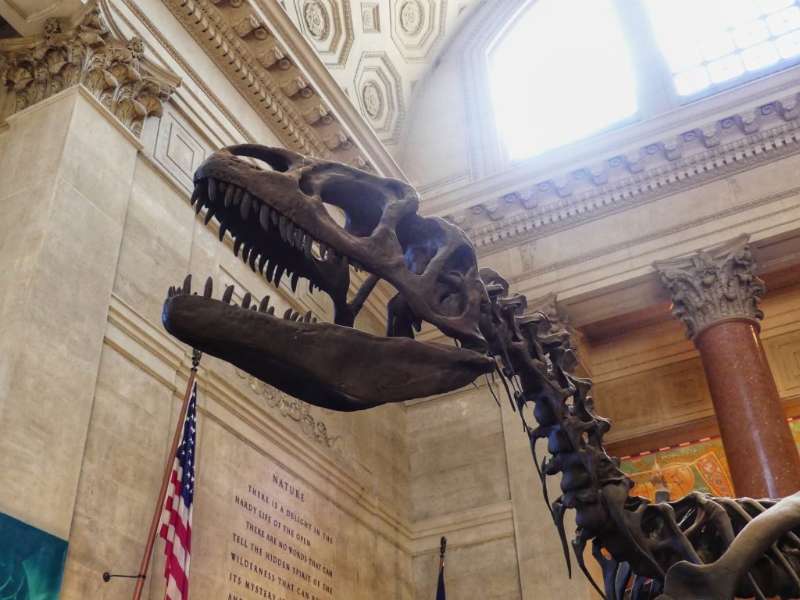 150th Anniversary: American Museum of Natural History