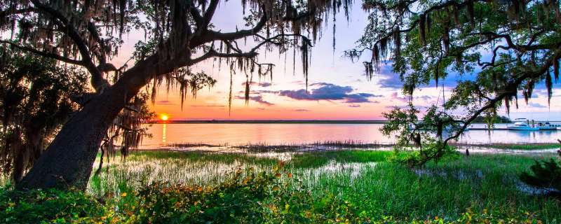 The Golden Isles